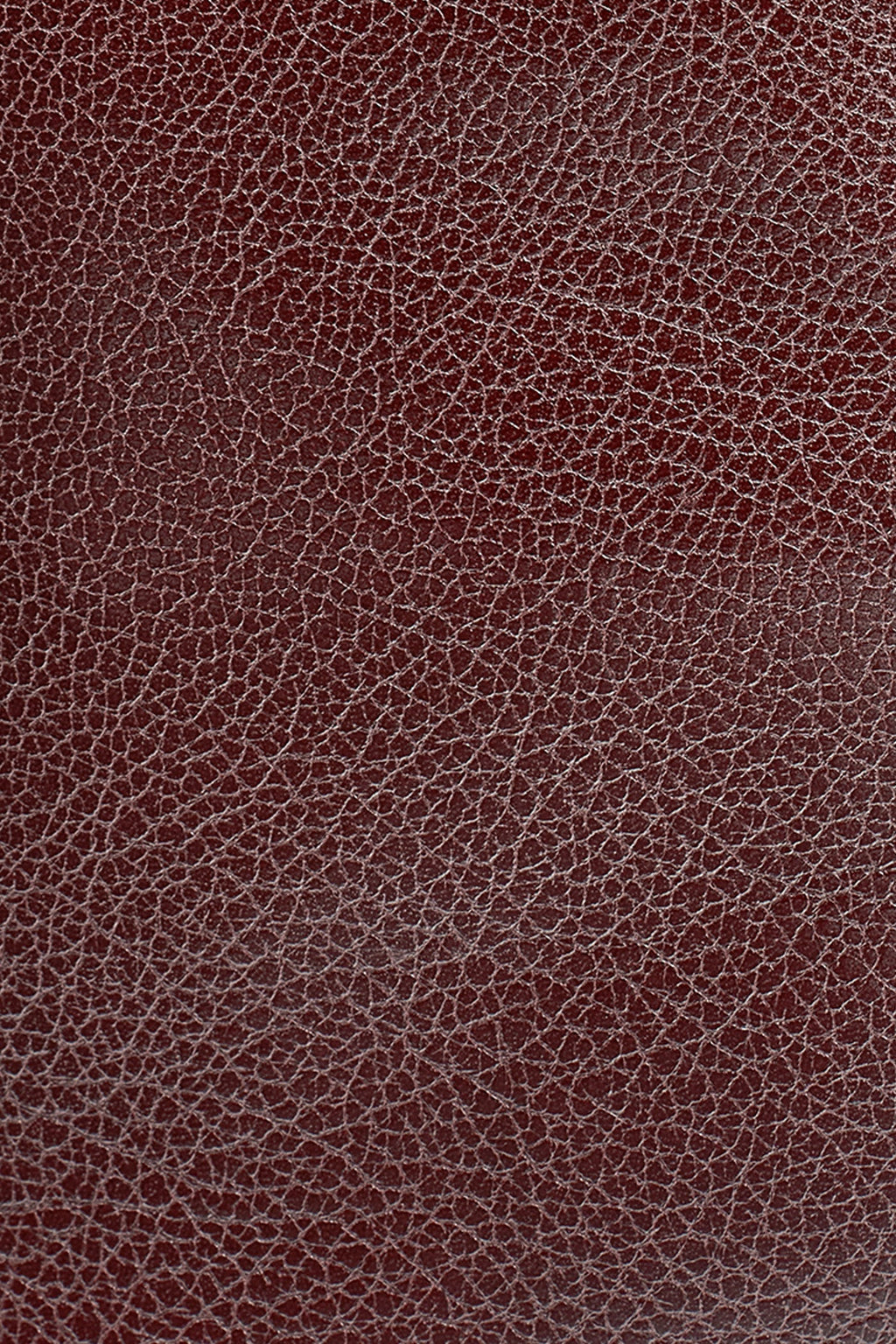 LENO LEATHER SMALL TOTE