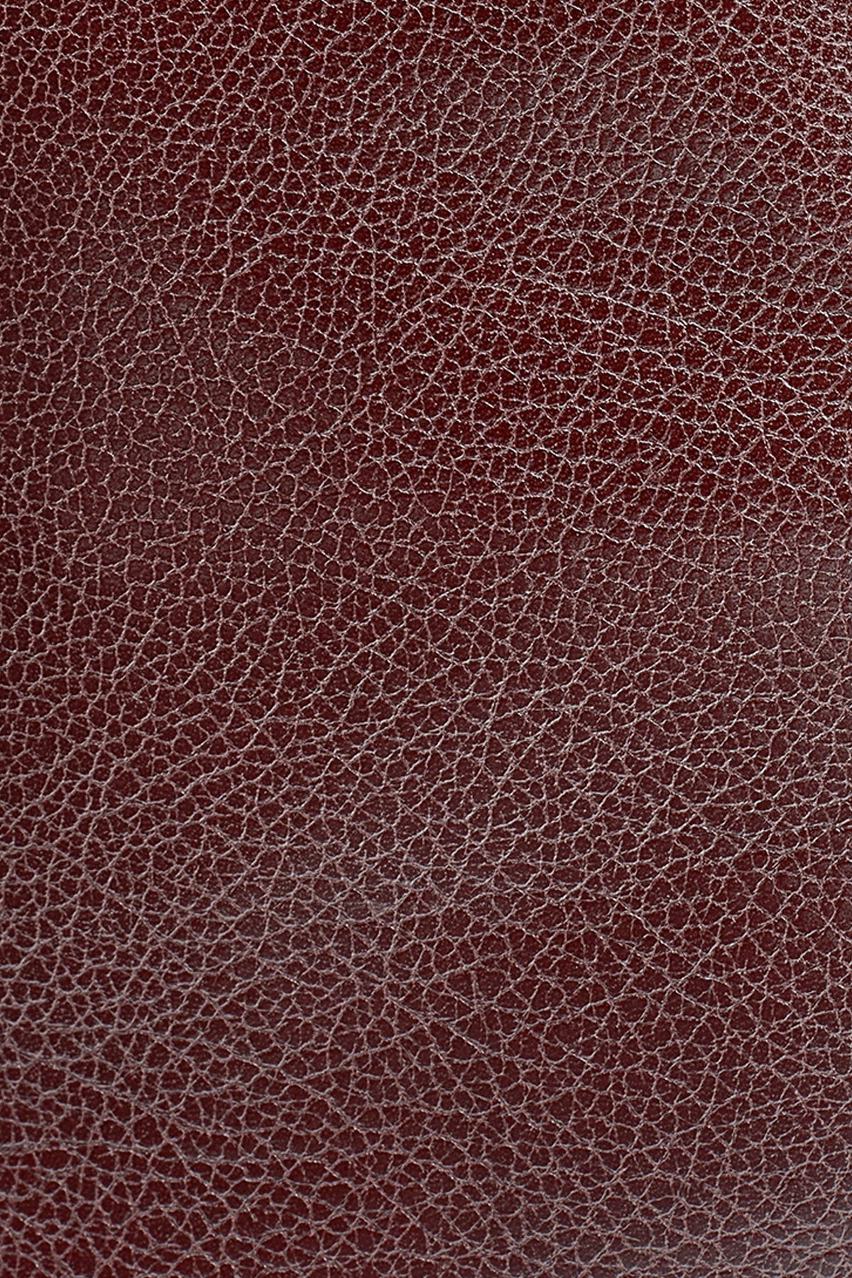 LENO LEATHER SMALL TOTE