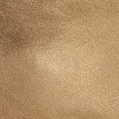 AMAGANSETT METALLIC LEATHER CROSSBODY BAG
