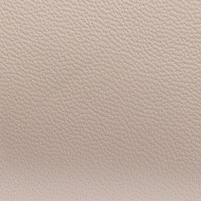 BRIDGEHAMPTON LEATHER SMALL CROSSBODY BAG