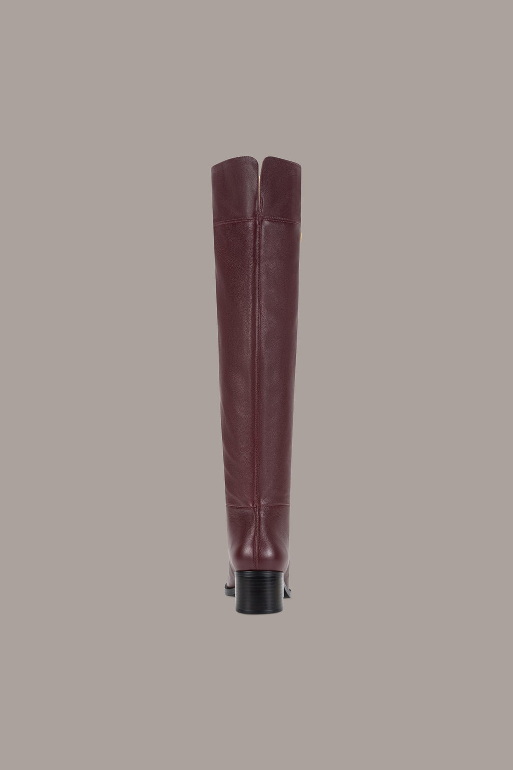 HERA LEATHER TALL BOOT