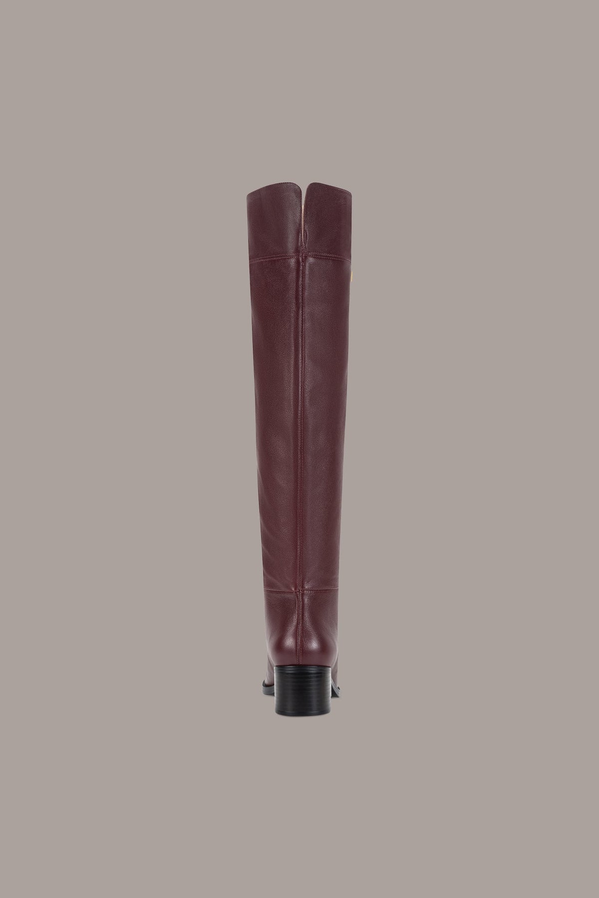 HERA LEATHER TALL BOOT